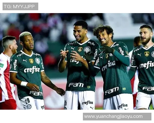 帕尔梅拉斯与米内罗美洲比赛前瞻及胜负预测分析