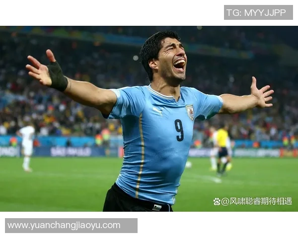 06年世界杯经典对决荷兰与葡萄牙的激情碰撞与历史回顾