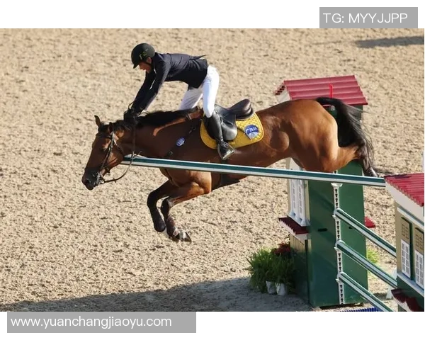 全运会 - 马术比赛后,冠亚第三名敞开“互夸形式” 全运会 - 马术比赛后,冠亚第三名敞开“互夸形式”