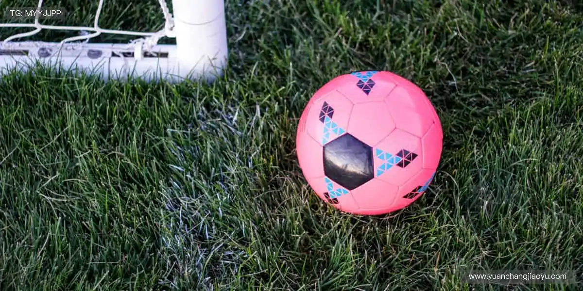 🏀 指尖掌控全球赛事,