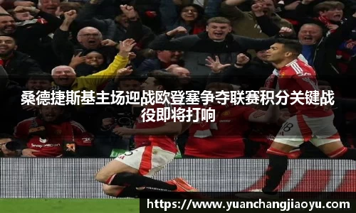 ng电子游戏官网